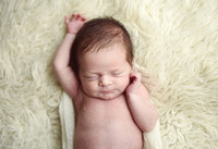 Newborn